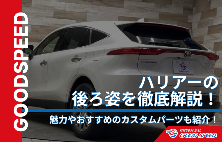 ハリアー 後ろ姿 (1)