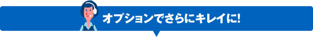 洗車オプションでさらにきれいに！