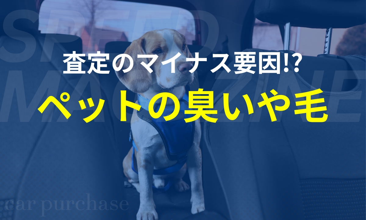 ペットと車査定
